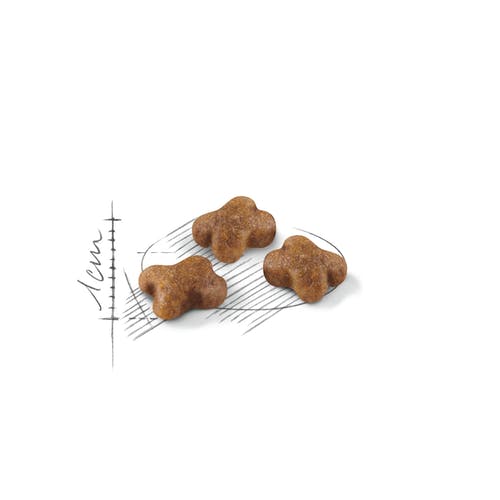 Royal Canin Feline Second Age Kitten Crocchette Per Gattini Sacco 2kg