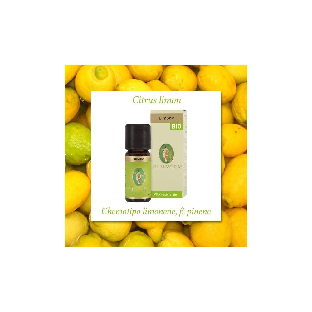 Huile essentielle bio de lavande vraie 10 ml