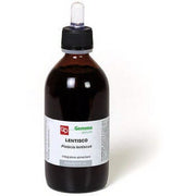 Fitomedical Macérat glycériné de charme 200 ml
