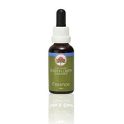 SEXUALITY 30 ml