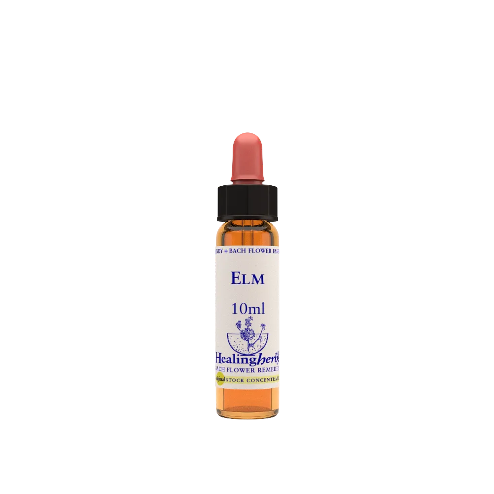 ESSENCE DE CHÊNE 30ML