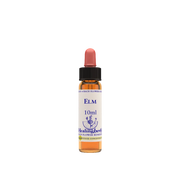 ESSENCE DE CHÊNE 30ML