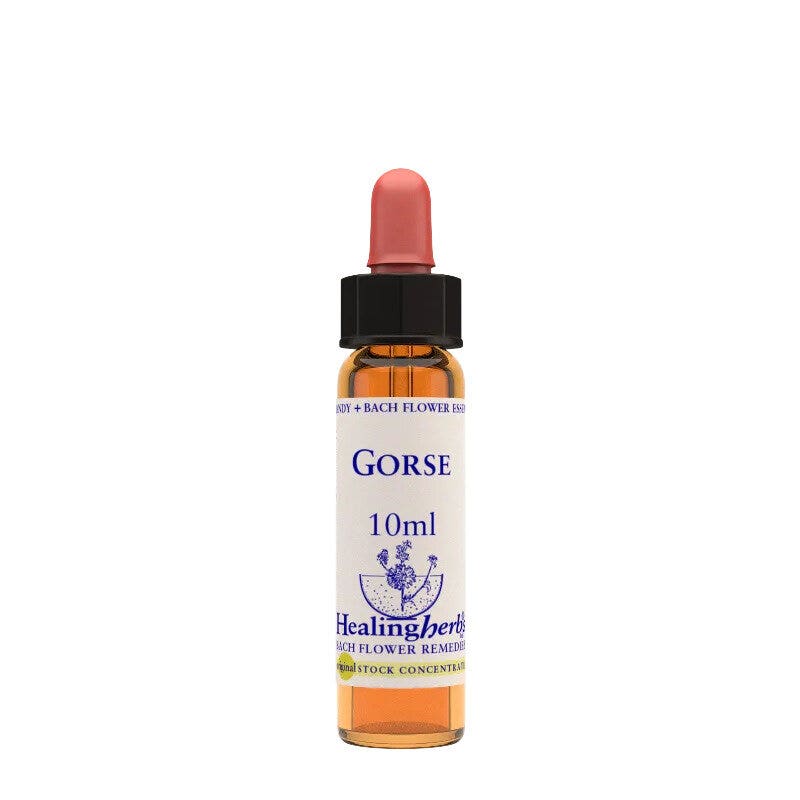 Natur Fleurs de Bach Essence d'Olive 10 ml