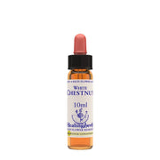 Natur Fleurs de Bach Healing Herbs Ajonc 10 ml