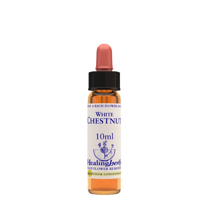 Natur Fleurs de Bach Healing Herbs Ajonc 10 ml