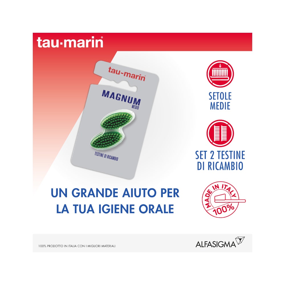 Taumarin Testina Ricambio Setole Magnum Medio