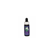 Promeal Poudre Café 1