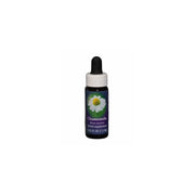 Arnica Essence unique californienne Flower Essence Society 7