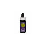 PROMEAL POUDRE FRAISE 1