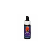 Natur Essence unique californienne FES Iris 7
