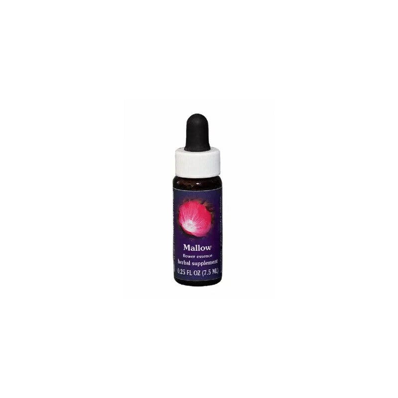 Natur Essence de fleur de zinnia californienne 7