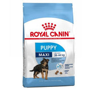 Royal Canin Croquettes pour chiens adultes de grande taille, sac de 15 kg