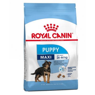 Royal Canin Croquettes pour chiens adultes de grande taille, sac de 15 kg