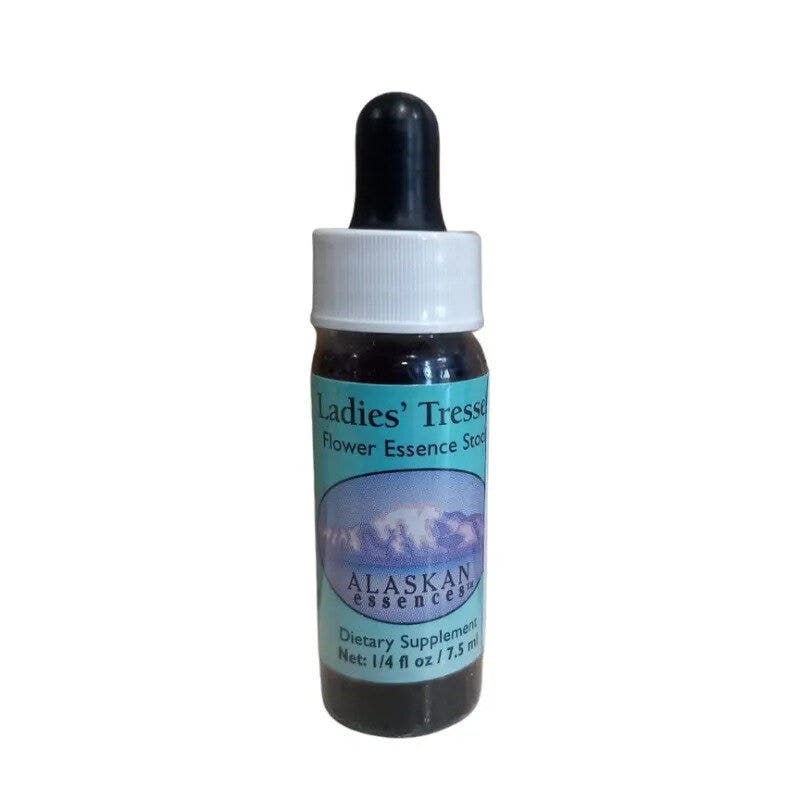 PANAX GINSENG EXTR PINE 10F 10