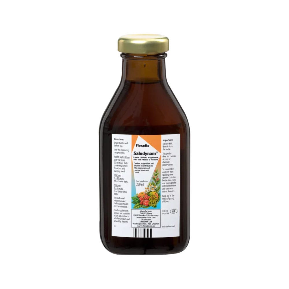 Saludynam Mineral-Drink 250ml