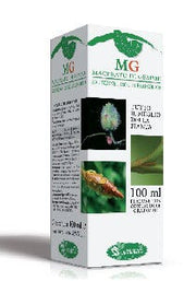 Macerat de bourgeons de figuier 100 ml