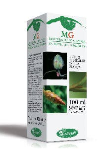 Macerat de bourgeons de charme 100 ml