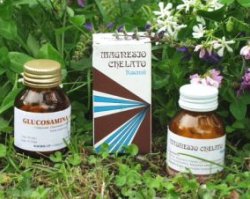 Raemil Compote de myrtilles 25 ml