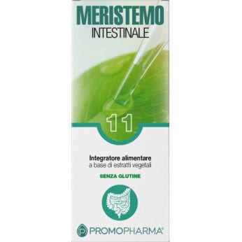 Meristemo 11 Intestinale 100ml