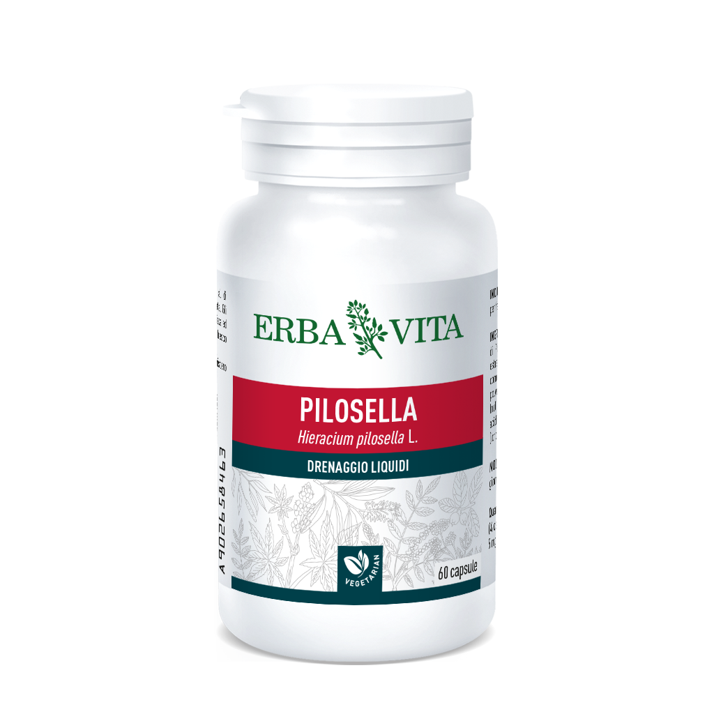 Artemisia Volg Tisane en vrac 100 g