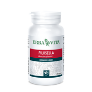 Artemisia Volg Tisane en vrac 100 g