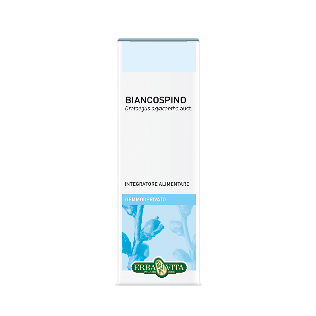 Fleurs/Feuilles d'Aubépine TT 100g
