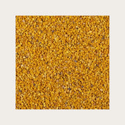 BETULA PUBESCENS 50ML STV