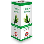 Échinacée, solution hydroalcoolique 100 ml