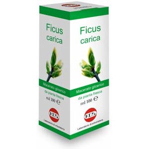 Échinacée, solution hydroalcoolique 100 ml