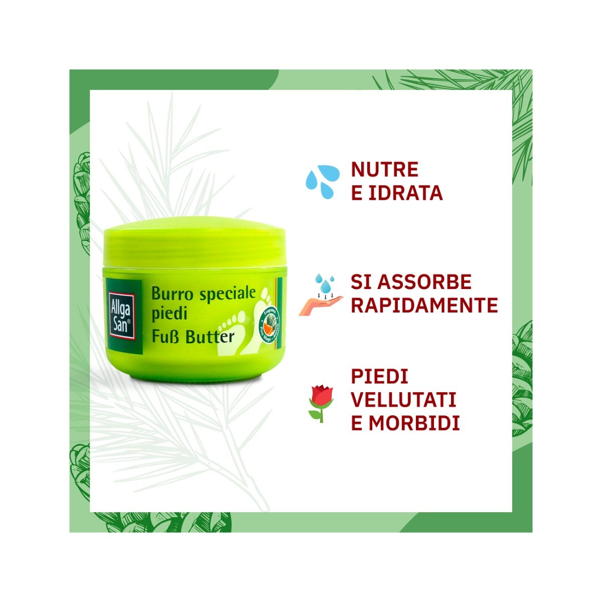 AllgaSan Burro Speciale Con Burro di Karitè Per Piedi Secchi 200ml