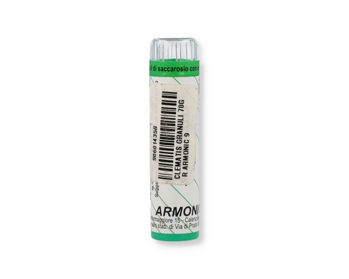 ARMONIC 35 WHITE CHESTNUT 70GR