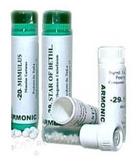 Armonic 28 Scleranthus 70g