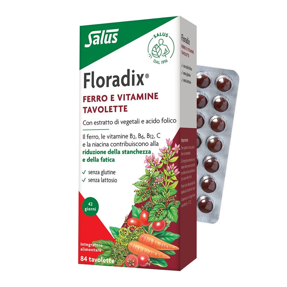 Floradix Fer 84 comprimés