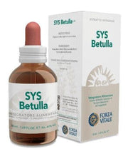 Sys Pilosella Gouttes 50 ml
