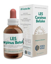 Forza Vitale Les Carpinus Betulus Gemmoderivato 1:10 Da Gemme Fresche Gocce 50ml