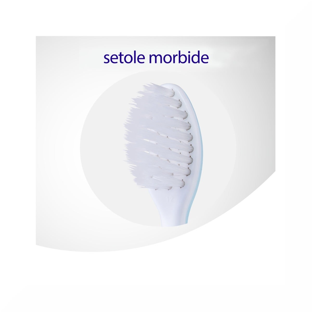 Meridol Spazzolino Protezione Gengive Morbido 1 Pezzo