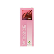 Plasmon Homogénéisé au bœuf 2x120 g