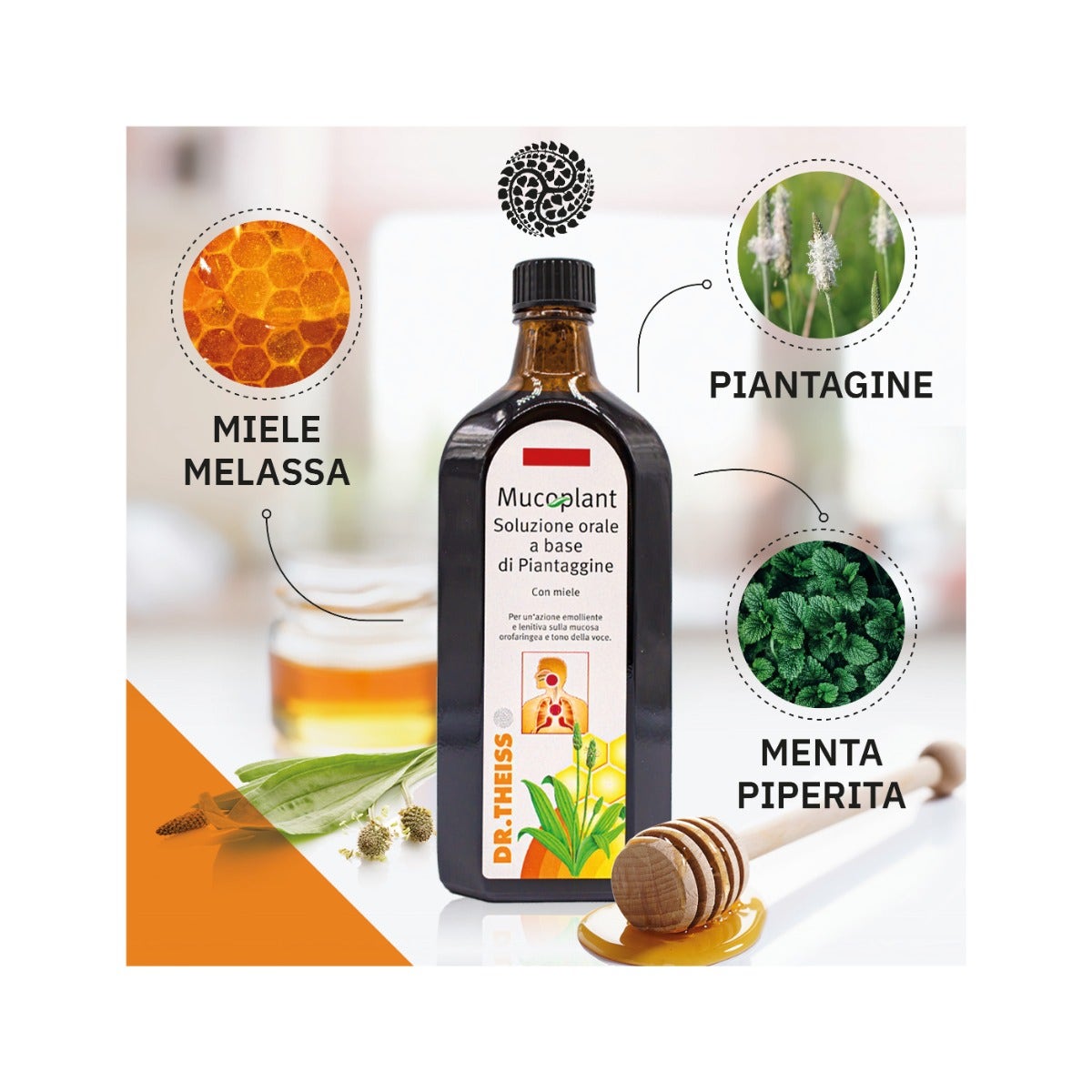 Dr Theiss Plantain Solution buvable 250 ml