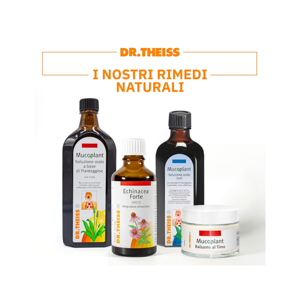 Dr Theiss Plantain Solution buvable 250 ml