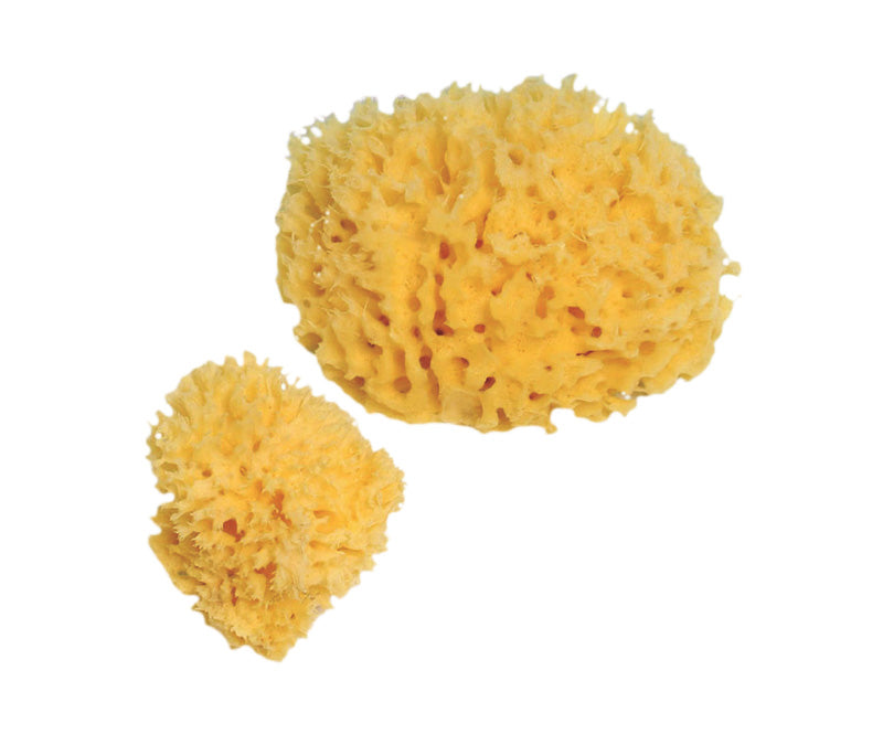 Reckeweg R14 Gouttes 22 ml