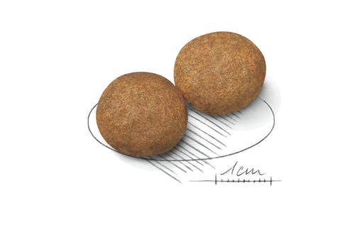 Royal Canin Crocchette Per Cani Adulti Taglia Media Sacco 15kg