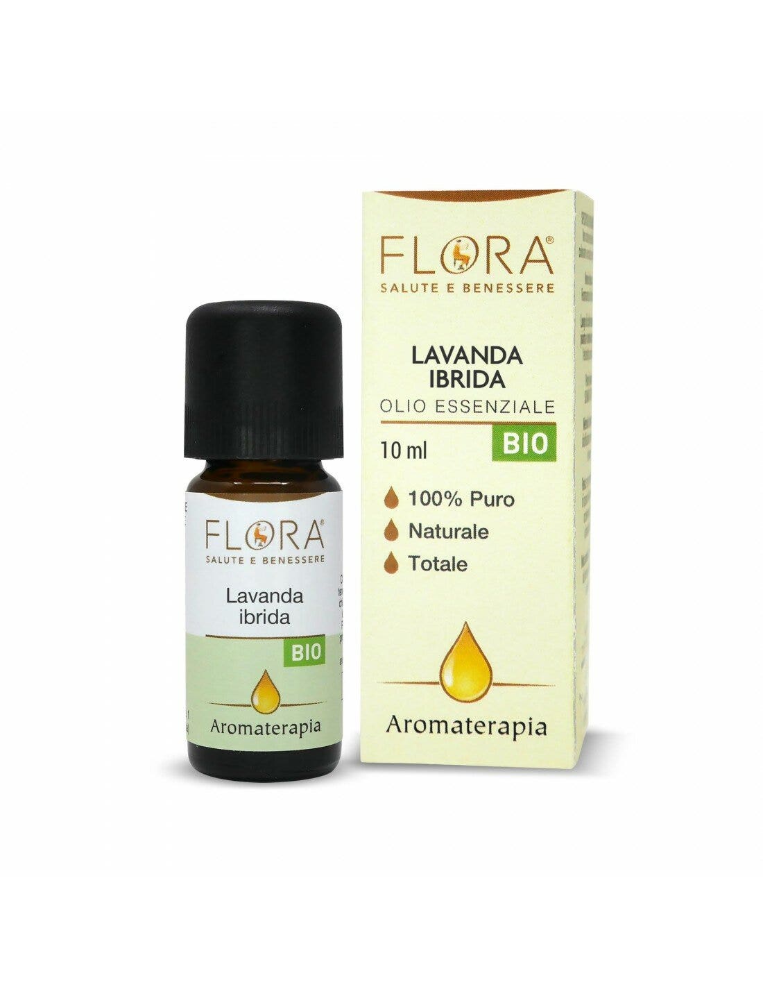 Ergitin 10 ampoules de 10 ml