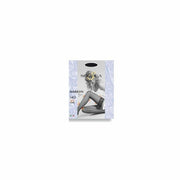 NUTRIFREE FARINE DE BLÉ SAR500G