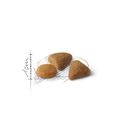 Plasmon Purée au cheval 6 mois+ 2x80g