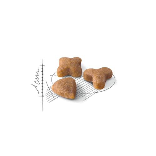 Royal Canin Croquettes pour chiots de taille moyenne, sac de 15 kg