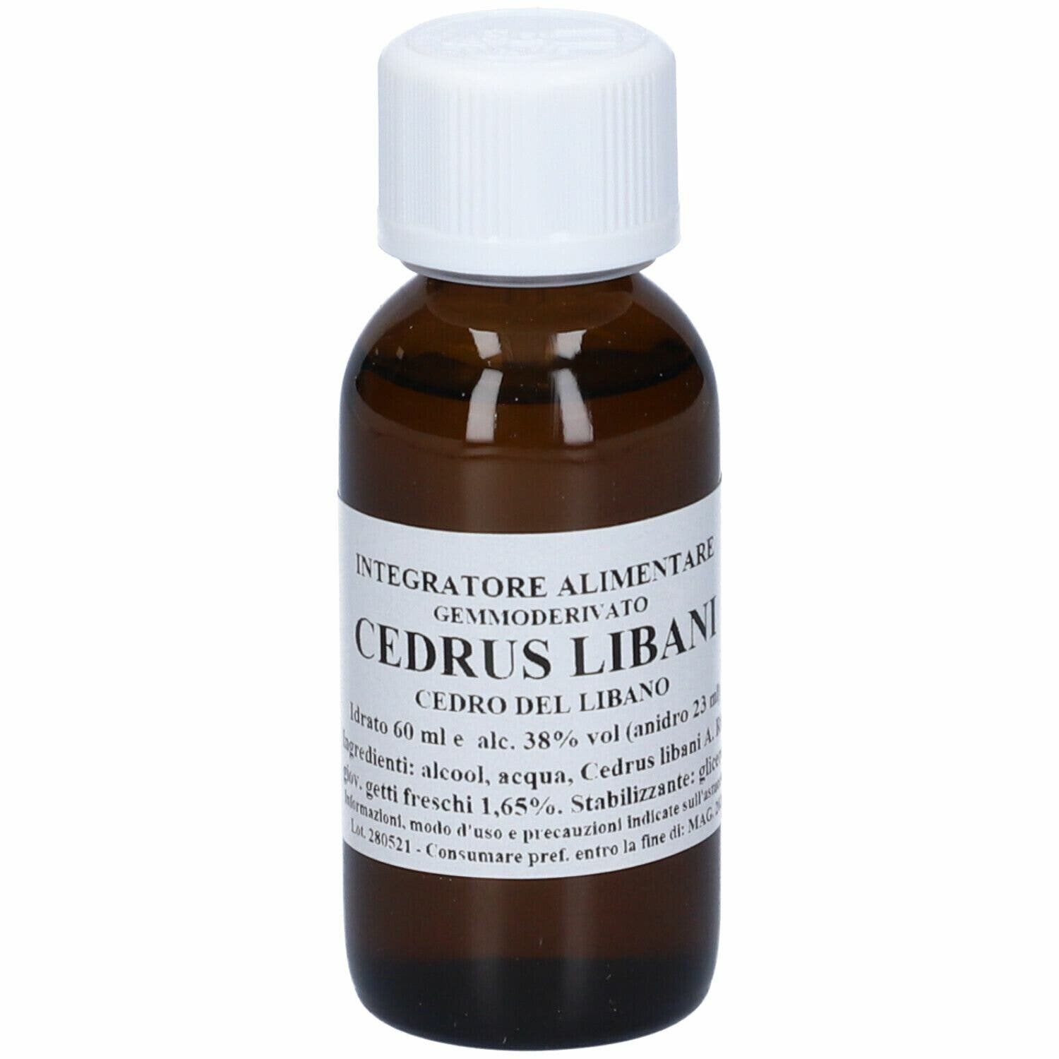 Sarandrea Cedrus Libani Macerato di Gemme 60ml