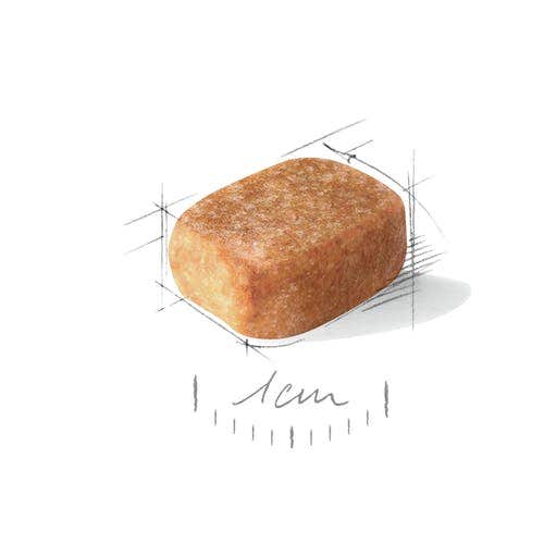 Royal Canin Croquettes pour chiens Chihuahua adultes, sac de 500 g