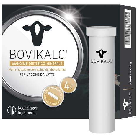 Lanières pour poche à urine de jambe en tissu élastique hypoallergénique, 2 pièces