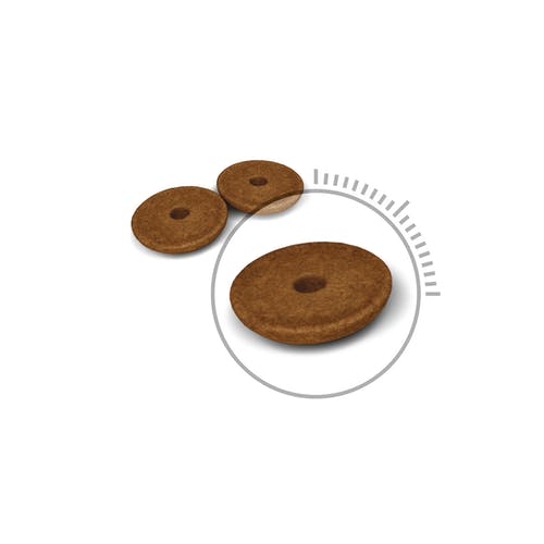 Almo Nature HFC Jelly Nourriture humide au saumon et aux carottes pour chats adultes Boîte de 70 g