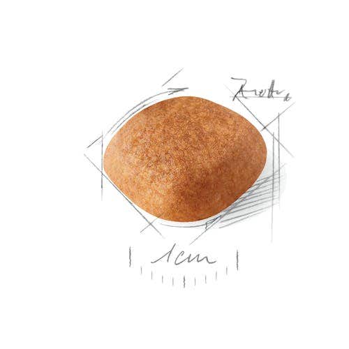 Almo Nature HFC Cuisine Nourriture humide au thon et au fromage pour chats adultes Boîte de 70 g